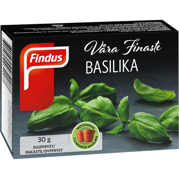 Findus Basilika