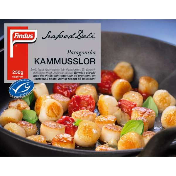Findus Kammusslor